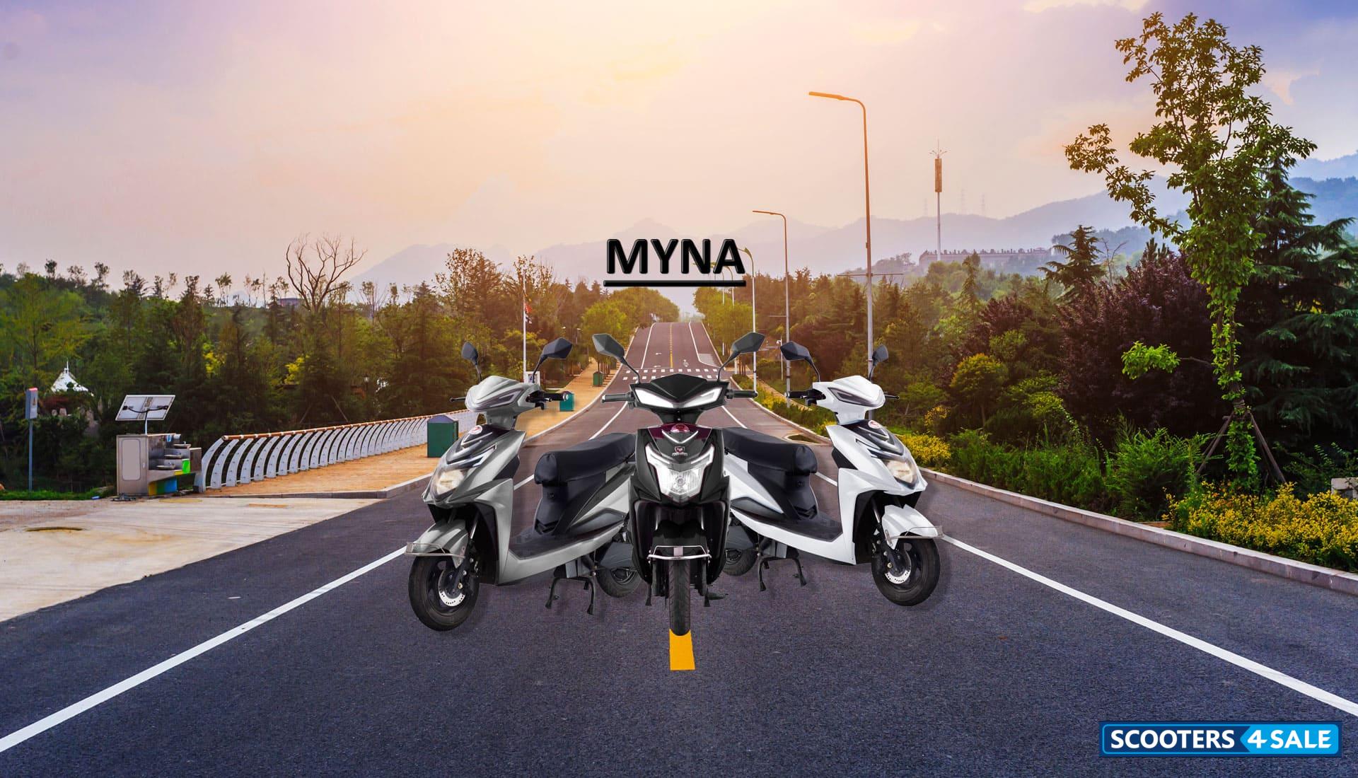 Flyrides Myna