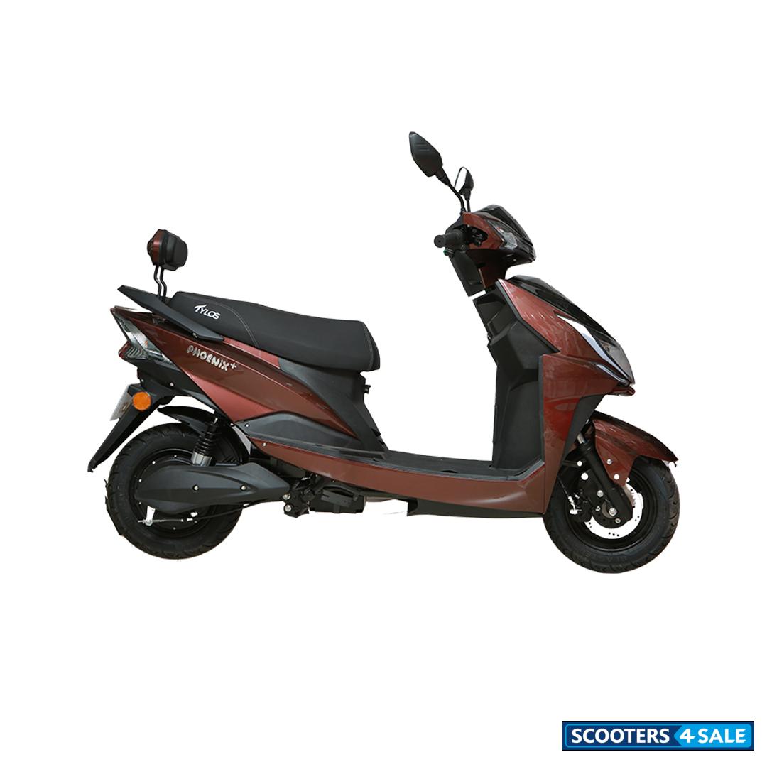 Tylos Pheonix Plus Brown